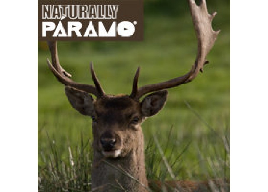 Naturally Paramo