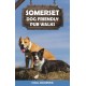 Somerset Dog Friendly Pub Walks