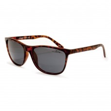 Bloc Coast F606 Brown Sunglasses