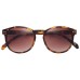Bloc Jasmin FF1 Shiny Tortoiseshell Sunglasses