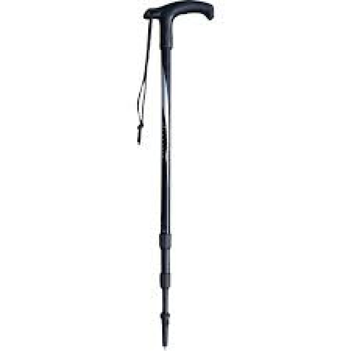 mountain king trekking pole